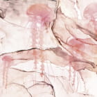 Miniatura fototapety Rosa Qualle