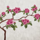 Miniatura fototapety Magnolienbaum