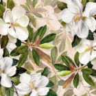 Miniatura fototapety Magnolienweiß