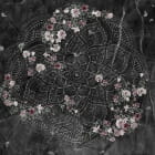 Miniatura fototapety Blumenmandala