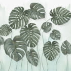 Miniatura fototapety Monstera-Zeichnung