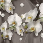Miniatura fototapety Weiße Orchideen 3D