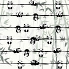 Miniatura fototapety Pandas