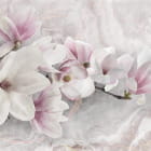 Miniatura fototapety Rosa Magnolie 3D