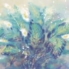 Miniatura fototapety Calla-Lilien