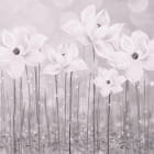 Miniatura fototapety Mondblumen