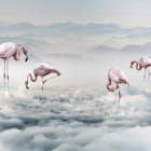 Miniatura fototapety Exotische Flamingos