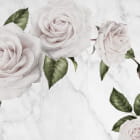 Miniatura fototapety Wunderschöne zarte Rosen