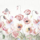 Miniatura fototapety Feld mit wunderschönen Mohnblumen