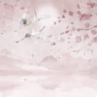 Miniatura fototapety Natur im Frühling