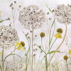 Miniatura fototapety Wunderschönes Blumenfeld