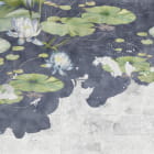 Miniatura fototapety Seerosen auf dem Wasser