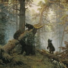 Miniatura fototapety Shishkin, Morgen in einem Kiefernwald