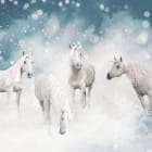 Miniatura fototapety Einhornwelt