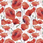 Miniatura fototapety Wunderschöne Mohnblumen