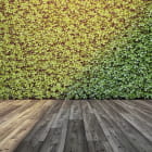Miniatura fototapety Grüne Wand 3D