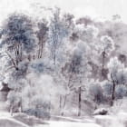 Miniatura fototapety Waldlandschaft