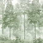 Miniatura fototapety Wiener Grüner Wald
