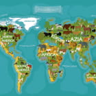 Miniatura fototapety Wildtierkarte