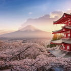 Miniatura fototapety Japan im Frühling