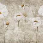 Miniatura fototapety Wunderschöne weiße Mohnblumen