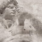 Miniatura fototapety David, Fresko
