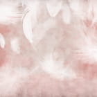 Miniatura fototapety Zarte rosa Federn