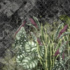 Miniatura fototapety Wunderschöne Blätter der Tropen