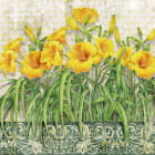 Miniatura fototapety Gelbe Lilien