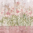 Miniatura fototapety Zarte rosa Blüten
