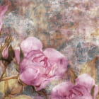 Miniatura fototapety Rosa Rosen, Aquarell