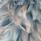 Miniatura fototapety Blaue Luftfedern