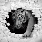 Miniatura fototapety Tiger 3D
