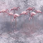 Miniatura fototapety Flamingo im Wasser