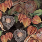 Miniatura fototapety Physalis
