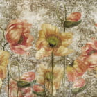 Miniatura fototapety Mohnblumen, Zeichnung