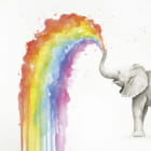 Miniatura fototapety Regenbogenelefant