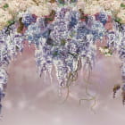 Miniatura fototapety Wunderschöne lila Zweige