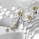 Miniatura fototapety Weiße Orchidee 3D