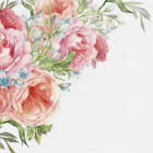 Miniatura fototapety Zarte Blumen, Aquarell