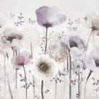 Miniatura fototapety Lila Mohnblumen