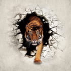 Miniatura fototapety Bengalischer Tiger 3D