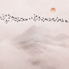 Miniatura fototapety Vogelschwarm bei Sonnenuntergang