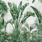 Miniatura fototapety Tropischer grüner Wald