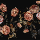 Miniatura fototapety Zarte Rosen, Zeichnung