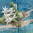 Miniatura fototapety Zarte Lilienblüten