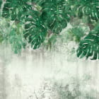 Miniatura fototapety Monstera-Blätter