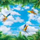 Miniatura fototapety Schöner Himmel 3D