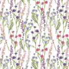 Miniatura fototapety Frühlingswiesenblumen