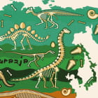 Miniatura fototapety Green Card und Dinosaurier fragment #2